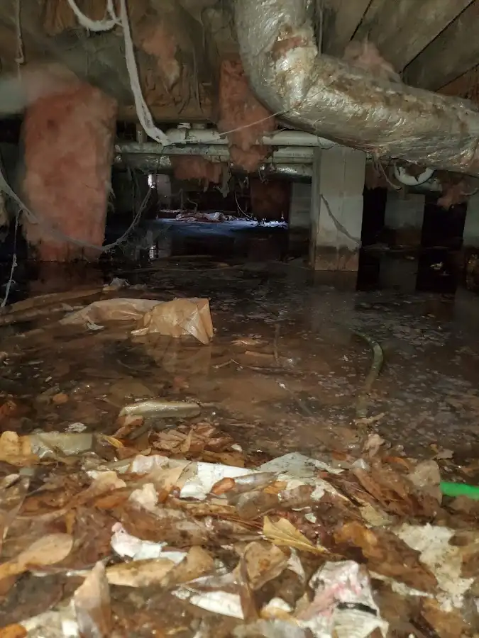 Crawl space flood assessment for Leak Detection & Repair in Memphis